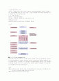 여성농업인에 대한 연구 16페이지