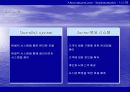 아마존(AMAZON)의 성공요인 분석 31페이지