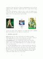  아이리버 마케팅 전략 분석 14페이지