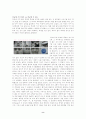 [광고 분석] 광고로 들여다 보는 문화 - TTL과  NA의 광고를 중심으로 - 8페이지