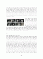 [광고 분석] 광고로 들여다 보는 문화 - TTL과  NA의 광고를 중심으로 - 10페이지