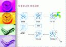 세라믹에 대하여 15페이지