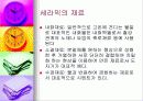세라믹에 대하여 17페이지