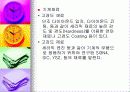 세라믹에 대하여 18페이지