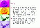 세라믹에 대하여 22페이지