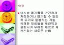 세라믹에 대하여 24페이지