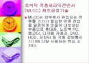 세라믹에 대하여 29페이지