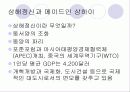 중국의 상하이에 대해 조사한 레포트 8페이지