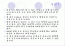 중국의 상하이에 대해 조사한 레포트 15페이지