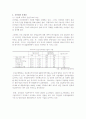 국내 IT산업의 문제점 및 발전전망 16페이지