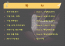 레인콤의 핵심역량구축 2페이지