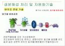 폐기물 재이용 시스템 13페이지