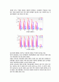 마케팅(NF 소나타) 분석 및 향후 계획 6페이지