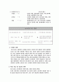 마케팅(NF 소나타) 분석 및 향후 계획 17페이지