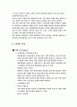 마케팅(NF 소나타) 분석 및 향후 계획 19페이지