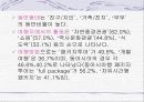 일본의 관광산업 7페이지