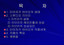 [일본문화]미야자키 하야오 2페이지