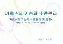 가로수의 기능과 수종관리(가로수의 기능과 수종관리 및 천안·아산 지역의 가로수 현황) 1페이지