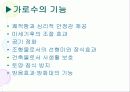가로수의 기능과 수종관리(가로수의 기능과 수종관리 및 천안·아산 지역의 가로수 현황) 5페이지
