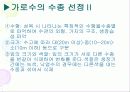 가로수의 기능과 수종관리(가로수의 기능과 수종관리 및 천안·아산 지역의 가로수 현황) 7페이지