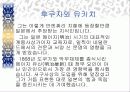 조선말기의 개혁 8페이지