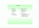 Missmr 재런칭 및 성공 전략 2페이지