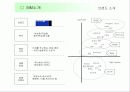 Missmr 재런칭 및 성공 전략 4페이지