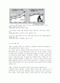 가정폭력의 실태분석과 대응방안  9페이지