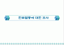 한류열풍에 대한 파워포인트 조별레포트 1페이지