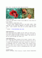 마약범죄의 실태분석과 대응방안 15페이지