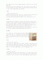 다이어트를 위한 식품 5페이지