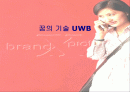 꿈의 기술 [UWB] 1페이지
