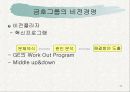 비전 경영(VISION MANAGEMENT)의 현황과 발전 방향 17페이지
