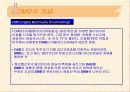 DMB(디지털멀티미디어방송) 3페이지