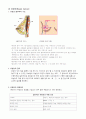 유방암 (breast ca) 질병보고서 1페이지