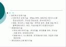 정보보호 산업의 중요성과 정보보호 방안 14페이지