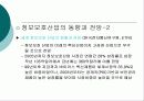 정보보호 산업의 중요성과 정보보호 방안 17페이지