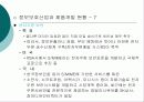정보보호 산업의 중요성과 정보보호 방안 25페이지
