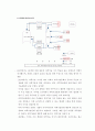 과학기술문화창달 기본계획에 관한 연구 14페이지