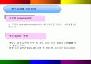 동성애를 바라보는 시각의 차이 3페이지
