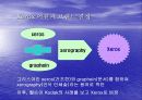 [벤치마킹(benchmarking) 사례분석] Xerox 의 벤치마킹 6페이지