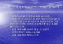 [벤치마킹(benchmarking) 사례분석] Xerox 의 벤치마킹 22페이지