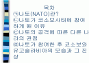  북대서양조약기구-나토(NATO) 1페이지