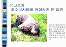  북대서양조약기구-나토(NATO) 4페이지