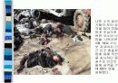  북대서양조약기구-나토(NATO) 11페이지