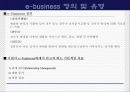 보험회사의 e-business 전략 - 교보자동차보험을 중심으로- 20페이지