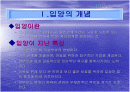  입양(사회학과) 2페이지