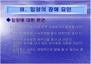  입양(사회학과) 5페이지