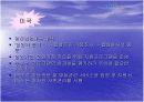  입양(사회학과) 13페이지