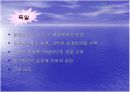  입양(사회학과) 14페이지